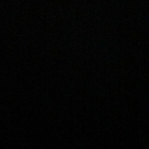 Meet your Posher, Averi